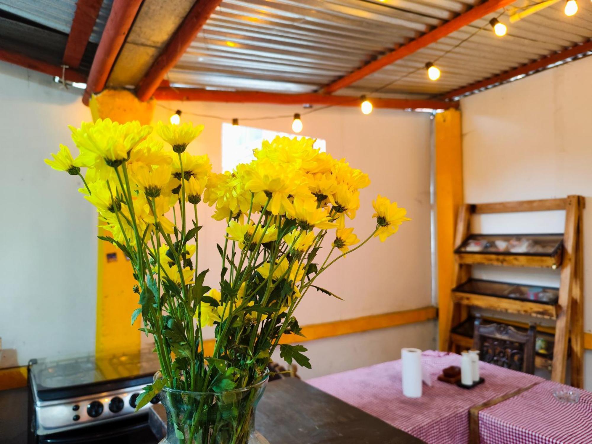 Mico Loco Casa Hostal Bogotá Eksteriør billede